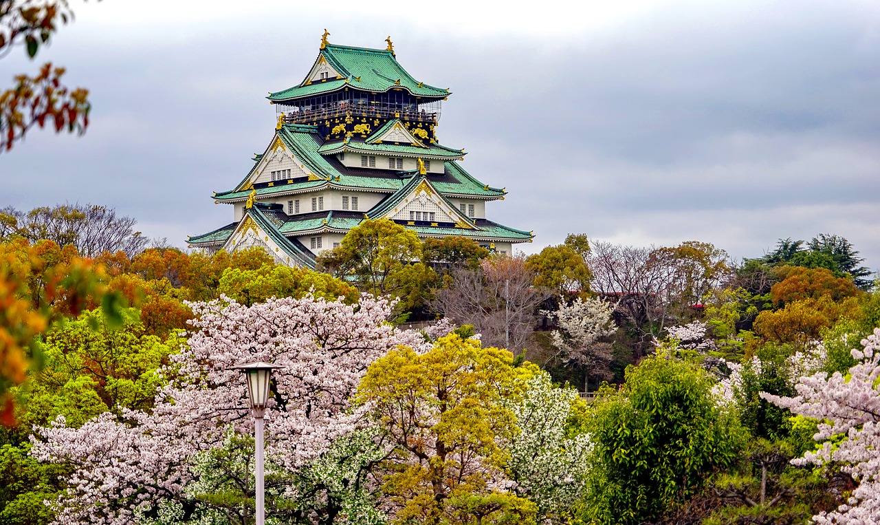 丰满追寻梦想的起点：为何选择高考后去日本留学？